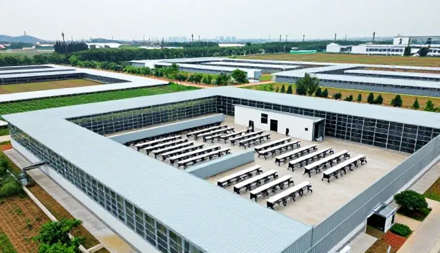 美容科技软件研发中技术优化的关键问题与解决路径